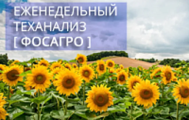 Теханализ: Фосагро