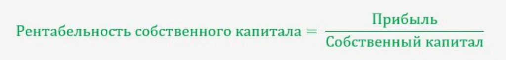 Формула рентабельности собственного капитала