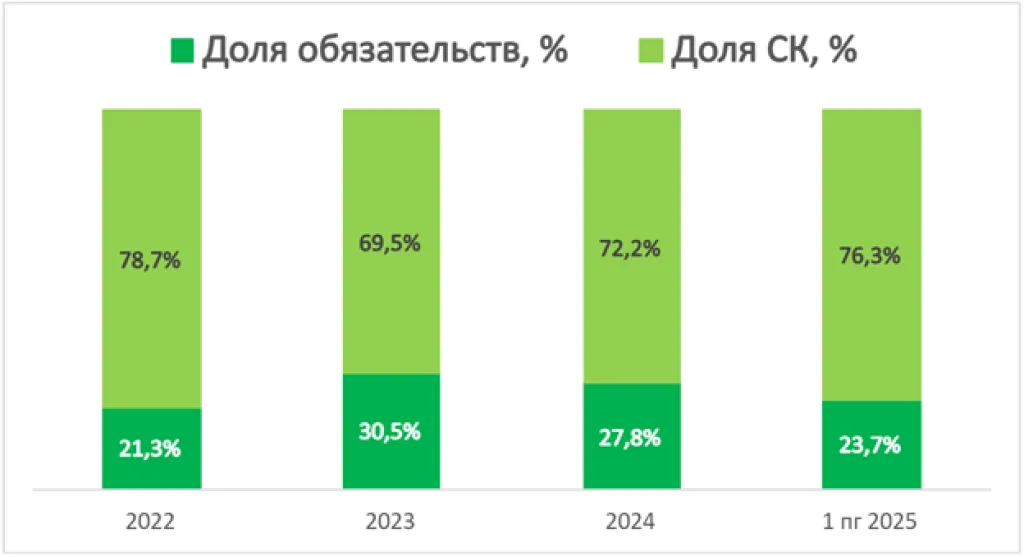 Параметры финансовой устойчивости ГК Базис